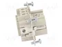 WIELAND Conector HDC Hembra Tamaño 6 para Panel