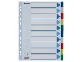 Esselte Separadores DIN A4 Polipropileno 1-10 Multitaladro con Cartulina Índice Color