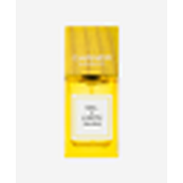 Carner Sal y Limon 100ml