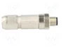 LAPP Conector M12 macho de 4 pines recto IP67 código D - Ethernet