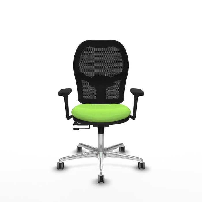 PIQUERAS Y CRESPO Silla de oficina Jorquera con mecanismo Sincro/Traslack, Pistacho y Negro PIQUERAS Y CRESPO Silla de oficina Jorquera con mecanismo Sincro/Traslack, Pistacho y Negro
