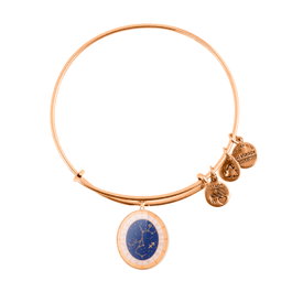 Alex And Ani Pulsera Sagitario Acabado Brillante Dorado