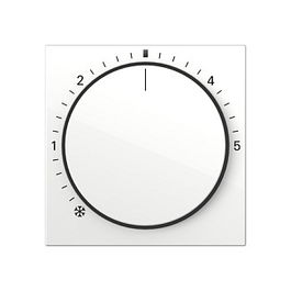 GIRA 270203 Placa Frontal Sistema 55 Blanco Brillante con Luz de Control