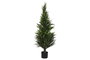 DKD Home Decor Árbol de Ciprés Verde 60x60x120 cm (Pack de 2)