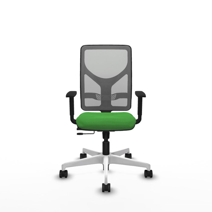 PIQUERAS Y CRESPO Silla de oficina Motilla con mecanismo Sincro/Traslack, Verde y Gris PIQUERAS Y CRESPO Silla de oficina Motilla con mecanismo Sincro/Traslack, Verde y Gris