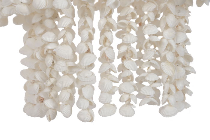 DKD Home Decor Lámpara de Techo de Conchas Hecha a Mano Blanco