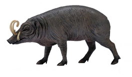 COLLECTA Babirusa Escala L
