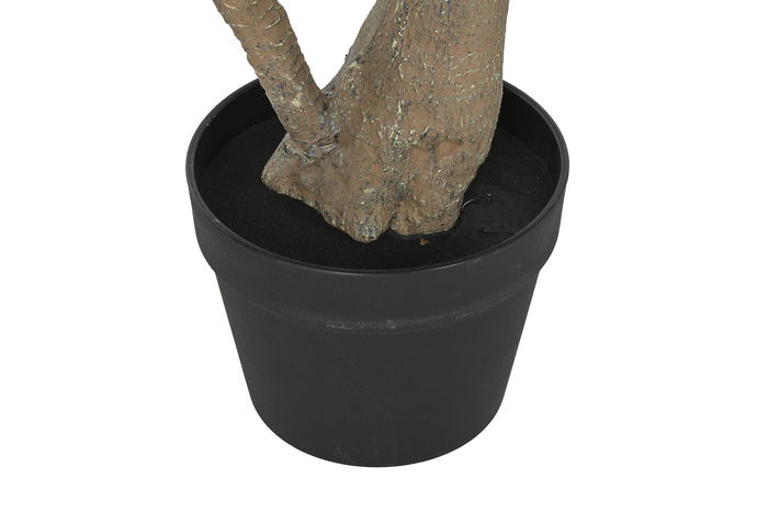 DKD Home Decor Planta Verde Palmera 80 x 120 x 80 cm (2 Unidades)