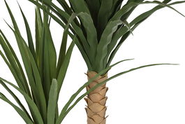 DKD Home Decor Planta Verde Palmera 80 x 120 x 80 cm (2 Unidades)