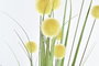 DKD Home Decor Rama PE con Pompon Amarillo y Verde 12X12X100