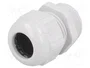 LAPP SKINTOP® Sello aislante PG21 IP68 gris claro