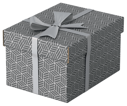 Esselte 628281 Pack 3 Cajas de Almacenaje Grises 255x200x150mm Cartón Reciclado Tapa Extraíble