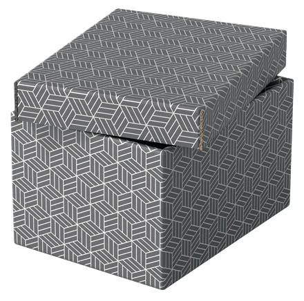 Esselte 628281 Pack 3 Cajas de Almacenaje Grises 255x200x150mm Cartón Reciclado Tapa Extraíble