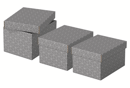 Esselte 628281 Pack 3 Cajas de Almacenaje Grises 255x200x150mm Cartón Reciclado Tapa Extraíble