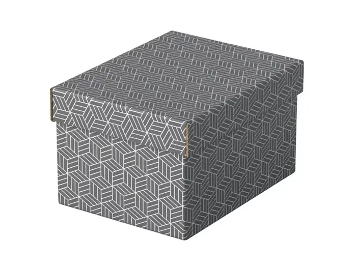 Esselte Pack de 3 cajas de almacenamiento de cartón gris 255x200x150mm