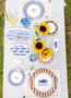 Hermia FSH0002 Juego de Platos de Servicio de Cerámica Azul (6 Piezas)