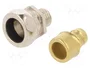 LAPP Conector final recto SILVYN® AS-P M12x1.5