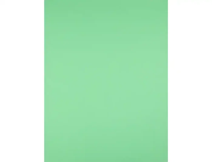 Liderpapel Cartulina verde hierba 50x65 cm 180g/m2 paquete de 25 hojas Liderpapel Cartulina verde hierba 50x65 cm 180g/m2 paquete de 25 hojas