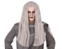 Peluca Larga Gris de 60 cm para Personajes Sobrenaturales