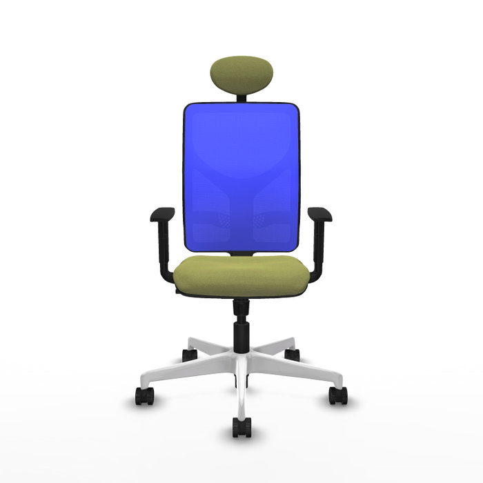 PIQUERAS Y CRESPO Silla de oficina Motilla con mecanismo Sincro, Verde oliva y Azul PIQUERAS Y CRESPO Silla de oficina Motilla con mecanismo Sincro, Verde oliva y Azul