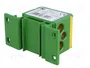 PAWBOL Bloque de Distribución 160A 600V Amarillo-Verde