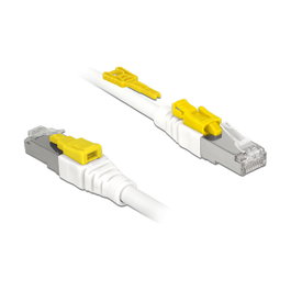 DeLOCK Kabel RJ45 Secure Cat.6A 2 m Blanco