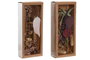 DKD Home Decor Ramo de Flores Secas Surtido de 2 Piezas, Malva y Crema