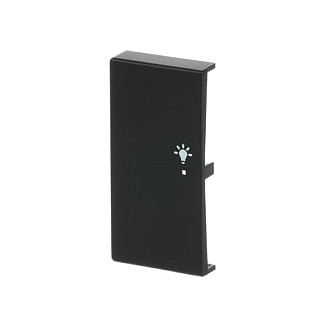 BUSCH-JAEGER 6231-21-885 Placa frontal negra