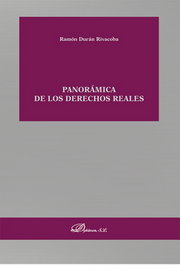 DYKINSON, Panorámica de los derechos reales - DYKINSON