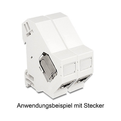 DeLOCK 86232 Soporte Keystone para riel DIN con conexión a tierra, Blanco DeLOCK 86232 Soporte Keystone para riel DIN con conexión a tierra, Blanco