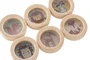 DKD Home Decor Juguete de Madera Multicolor Surtido de 6