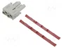 ILME MIXO Plantilla de Contacto HDC Hembra 4 PIN 40A