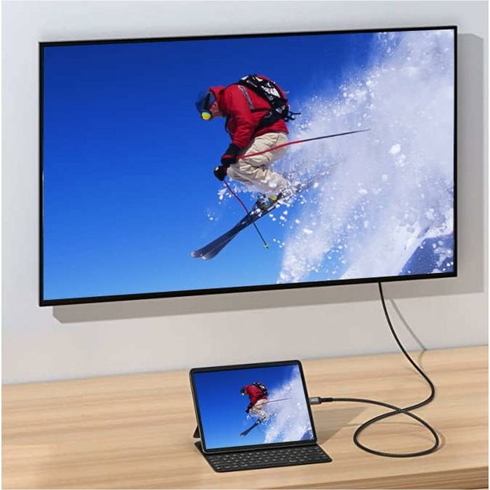 Equip Cable USB-C a DisplayPort 1.2 4K/60Hz 3m Gris