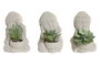 DKD Home Decor Figura Buda Cactus Surtido de 3 Piezas en Cemento y PVC