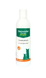 Stangest Dermovital Champú Calmante para Perros y Gatos con Aloe Vera, Avena y Abedul, 250 mL, Piel Sensible y Prurito