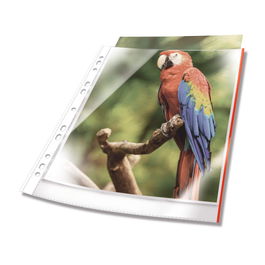 Durable 265503 Protector de Hojas A4 Polipropileno Transparente con Refuerzo, 25 Piezas