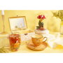 WIDDOP & CO Taza de Cristal Bella Princesas Disney con Flores Secas