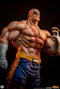Premium Collectibles Studio Street Fighter Street Jam Estatuas 1/10 Sagat & Juli