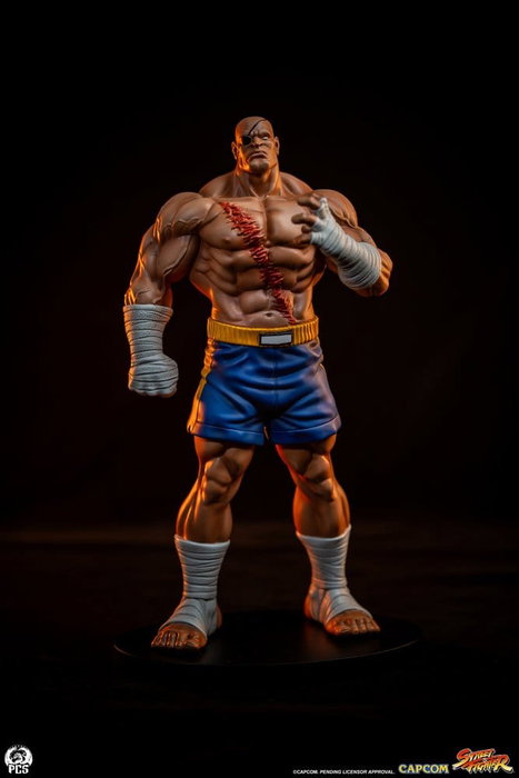 Premium Collectibles Studio Street Fighter Street Jam Estatuas 1/10 Sagat & Juli