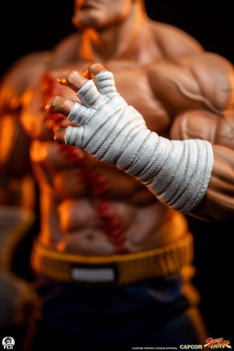 Premium Collectibles Studio Street Fighter Street Jam Estatuas 1/10 Sagat & Juli