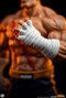 Premium Collectibles Studio Street Fighter Street Jam Estatuas 1/10 Sagat & Juli