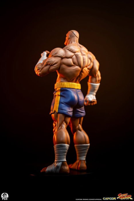 Premium Collectibles Studio Street Fighter Street Jam Estatuas 1/10 Sagat & Juli