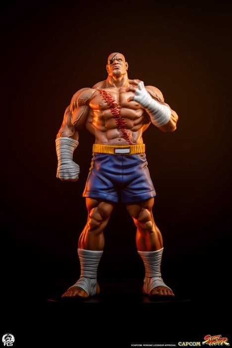 Premium Collectibles Studio Street Fighter Street Jam Estatuas 1/10 Sagat & Juli