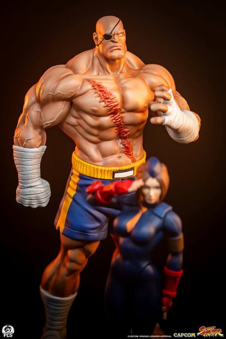 Premium Collectibles Studio Street Fighter Street Jam Estatuas 1/10 Sagat & Juli