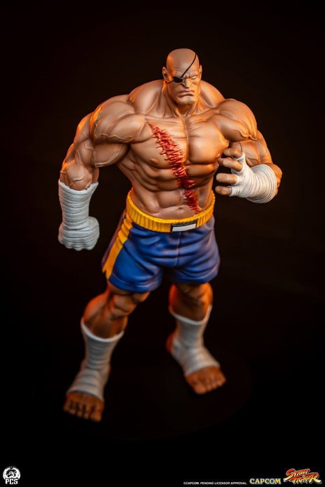 Premium Collectibles Studio Street Fighter Street Jam Estatuas 1/10 Sagat & Juli