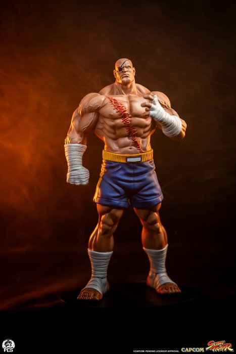 Premium Collectibles Studio Street Fighter Street Jam Estatuas 1/10 Sagat & Juli