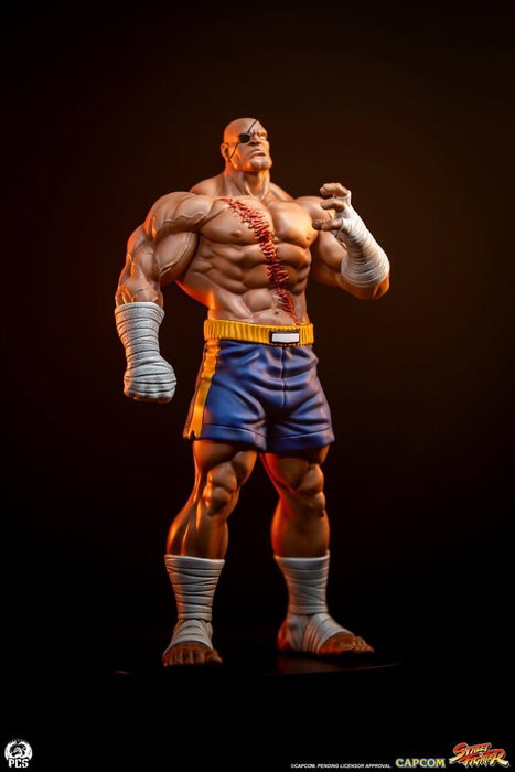 Premium Collectibles Studio Street Fighter Street Jam Estatuas 1/10 Sagat & Juli
