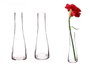 Giftdecor Set de 48 Floreros de Cristal Transparente Base Ancha 6x22x6 cm