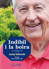Indíbil i la boira, Josep Vallverdú - PAGES EDITORS