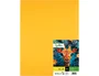 Liderpapel Cartulina Oro Viejo 180 g 50x65 cm (25 hojas)